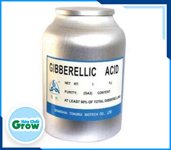 ACID GIBBERELLIC- GA3 – C19H22O6